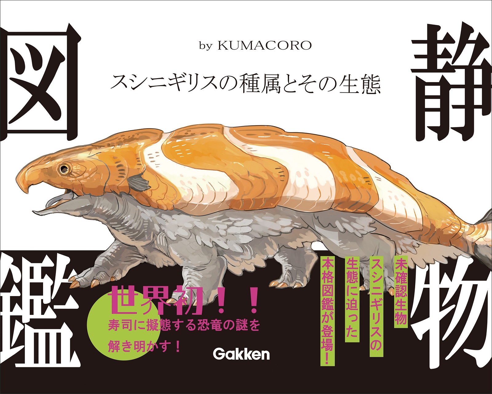 静物図鑑 スシニギリスの種属とその生態