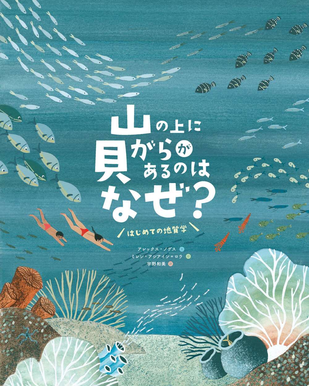 山の上に貝がらがあるのはなぜ？ はじめての地質学