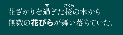 花ざかりを過ぎた桜の木から無数の花びらが舞い落ちていた。