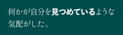 何かが自分を見つめているような気配がした。