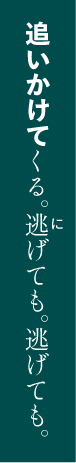 追いかけてくる。逃げても。逃げても。